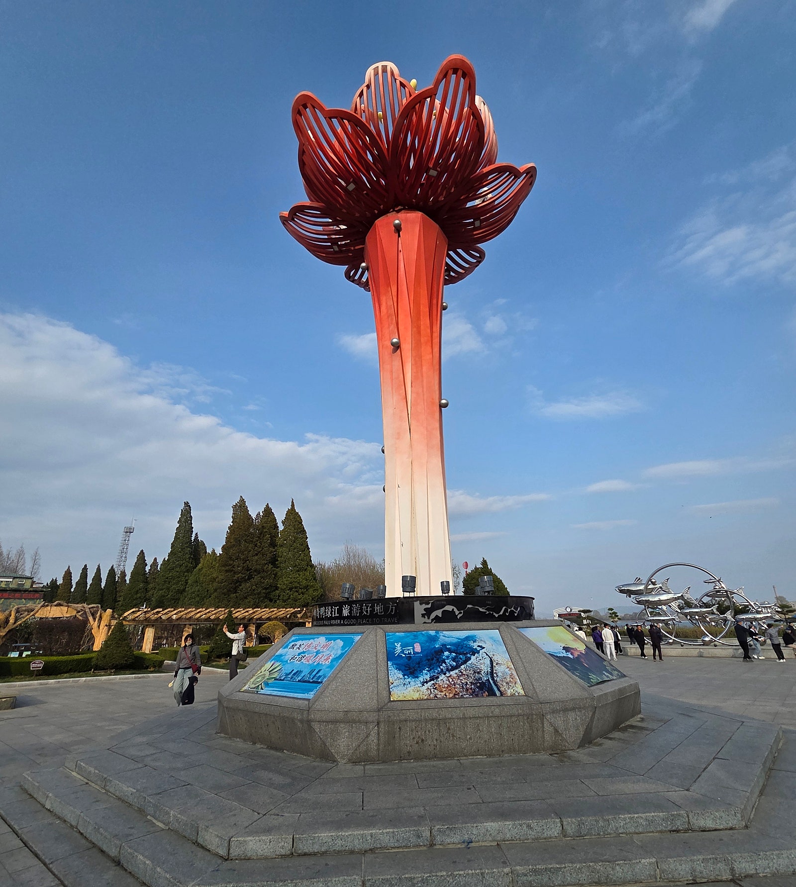 48735.jpg
