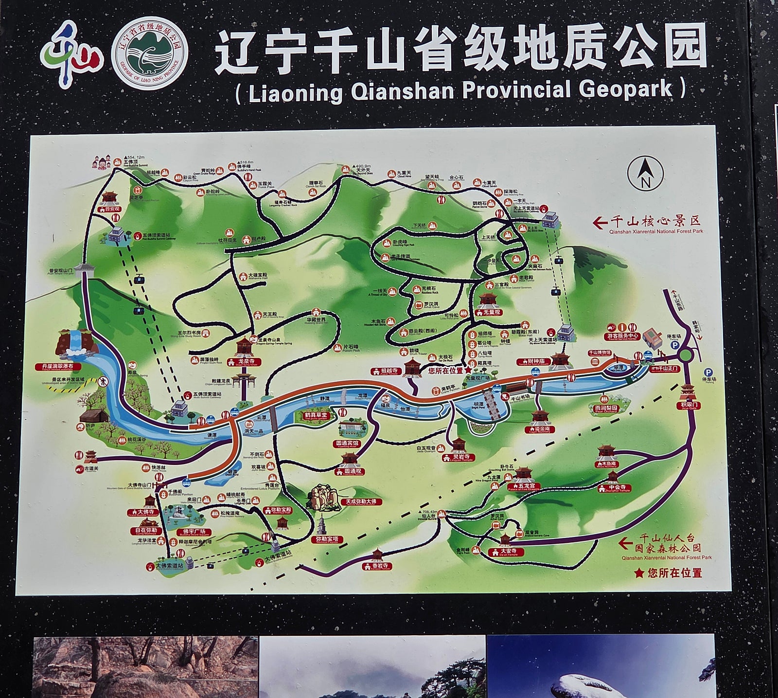 48700.jpg