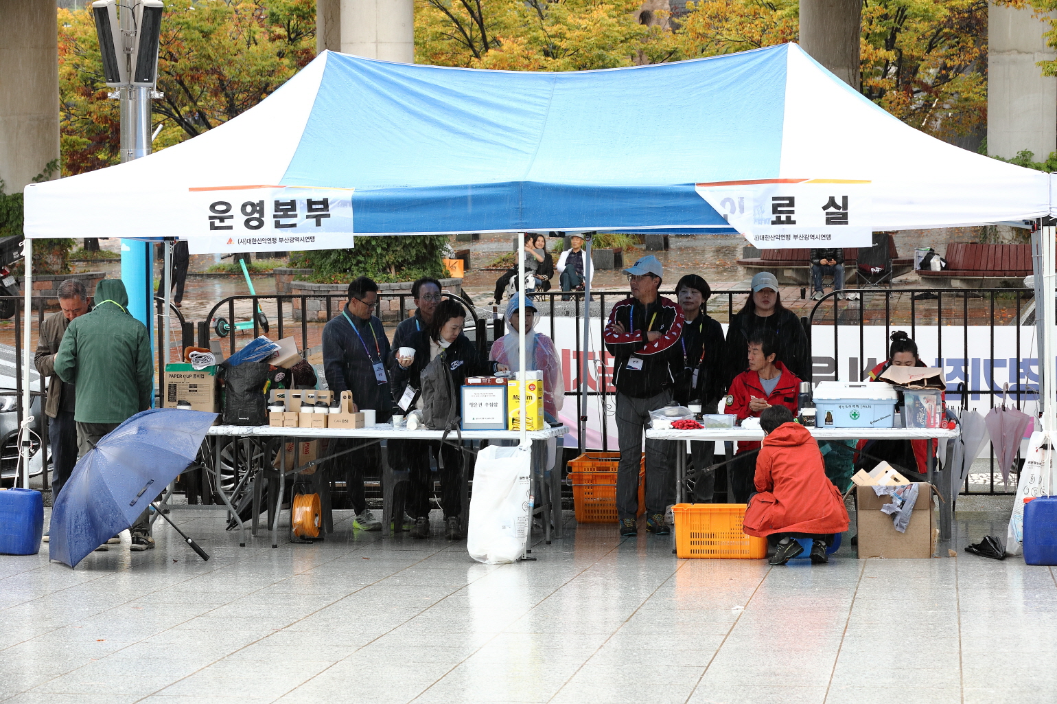 보기용_D6A0367.JPG