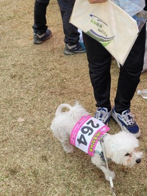 제16회 부산 산악 문화축제 시민 등산대회